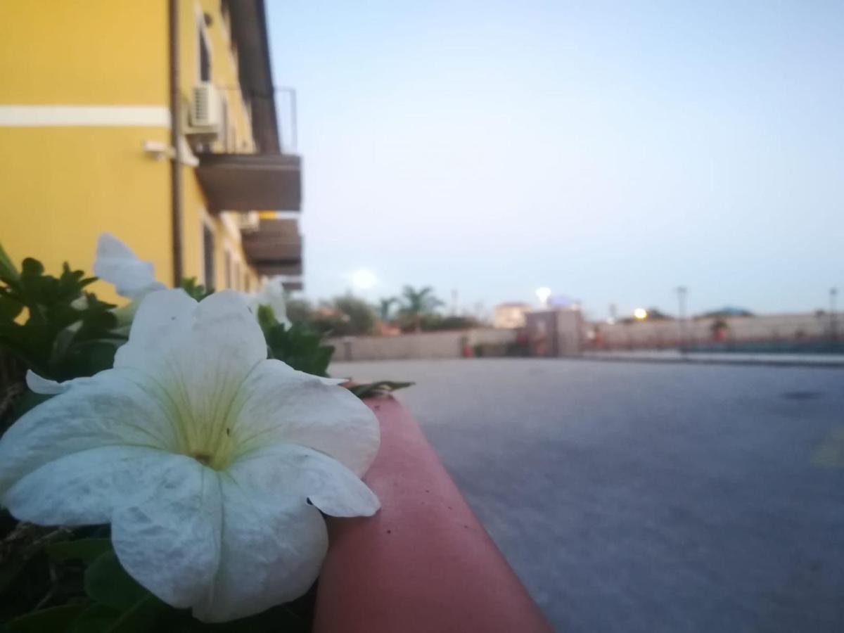 I Colori Dell'Etna Bed & Breakfast San Giovanni La Punta Luaran gambar